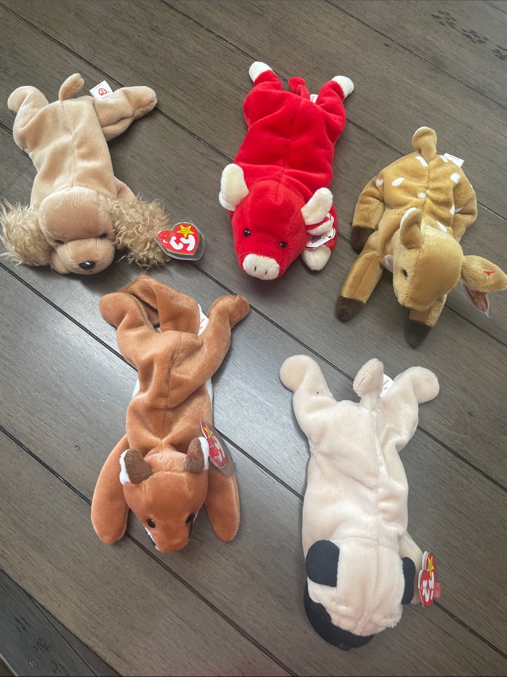 Ty Beanie Babies Set - Snort , Whisper, Pugsly, Spunky, & Sly
